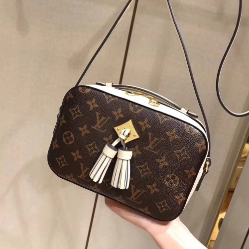 Louis Vuitton Bag 028